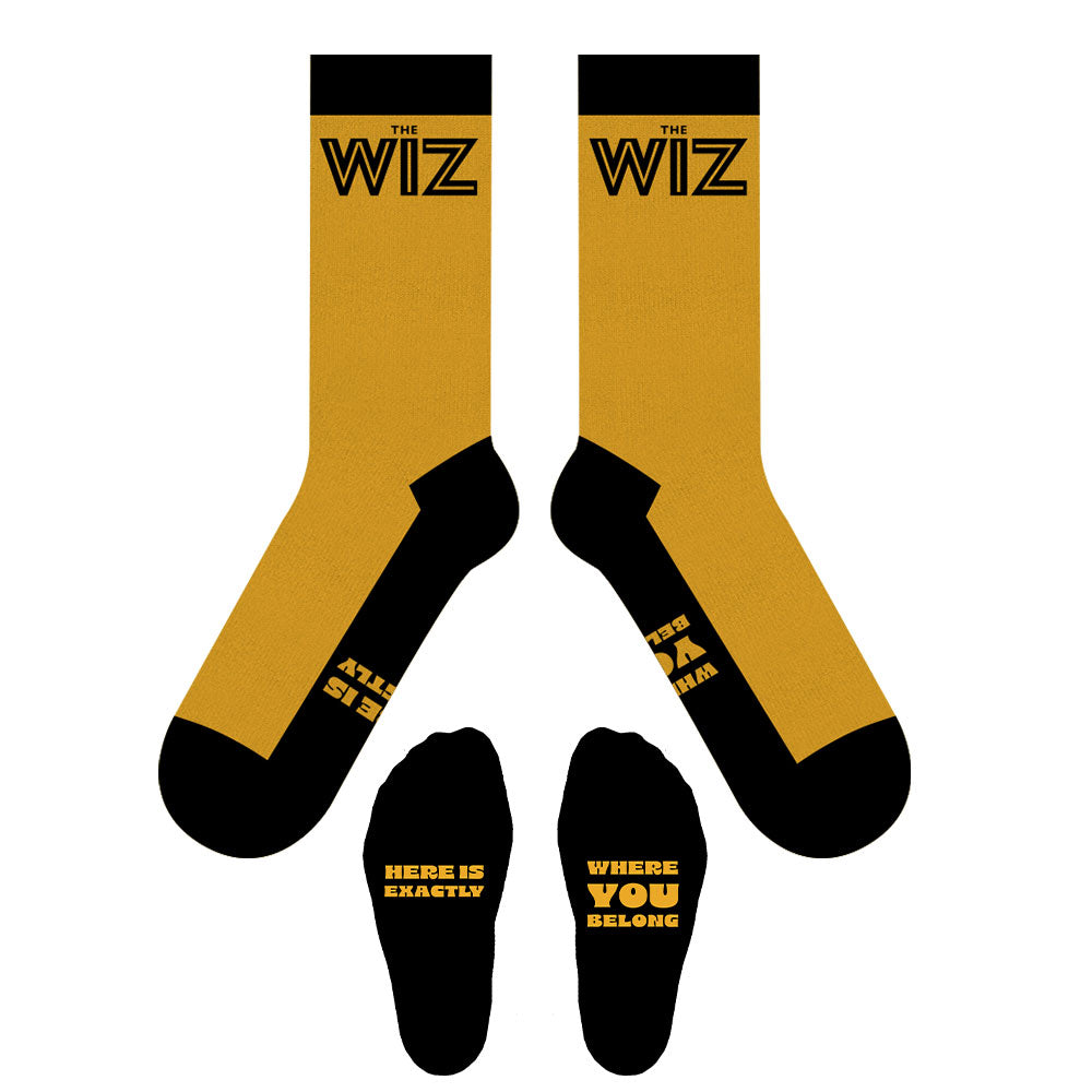 The Wiz – BroadwayWorld